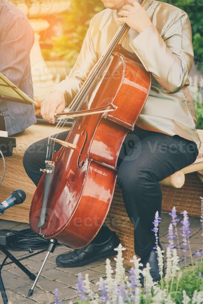 Man playing cello in morning ligth gold photo