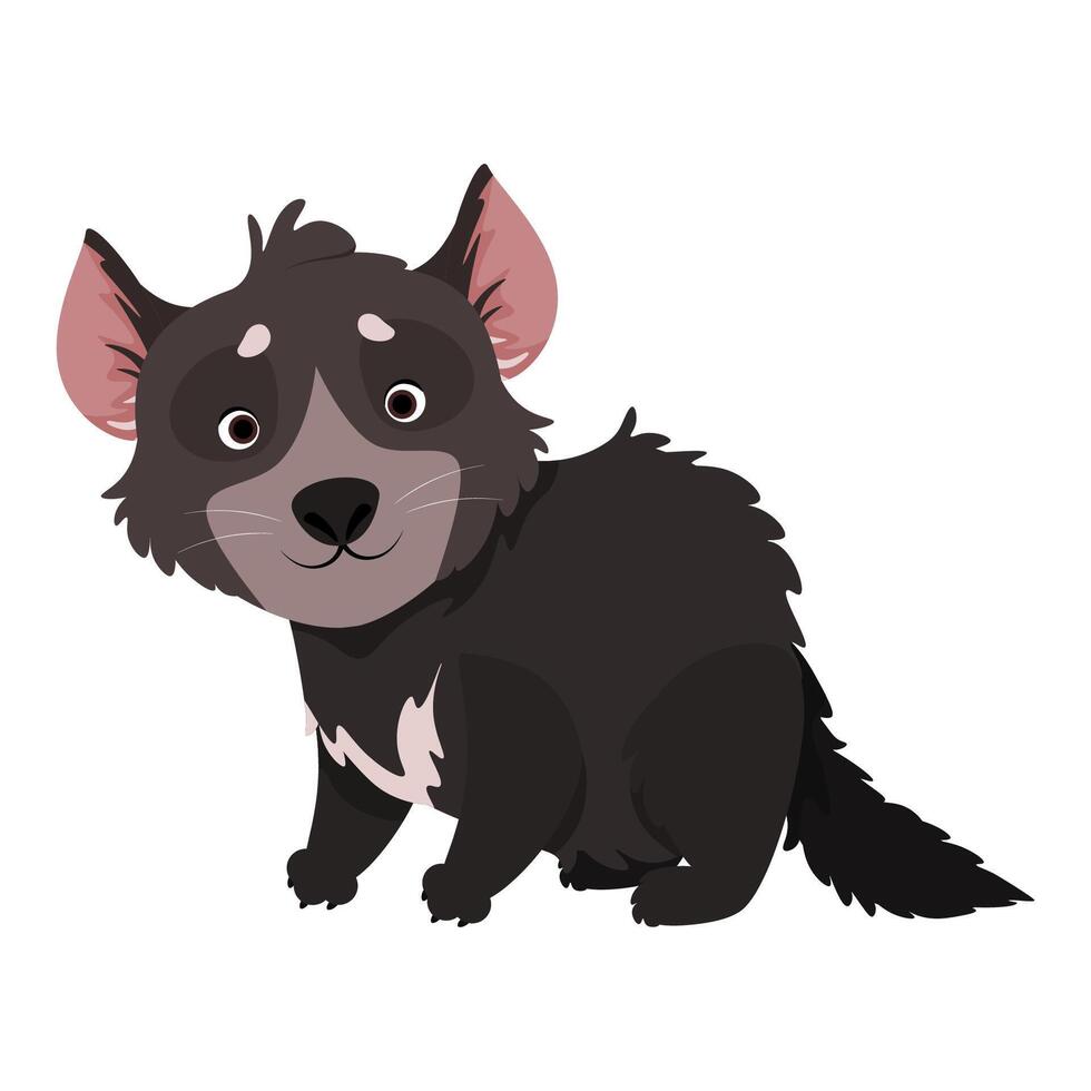 Australian animal cute Tasmanian devil stands on four legs vector