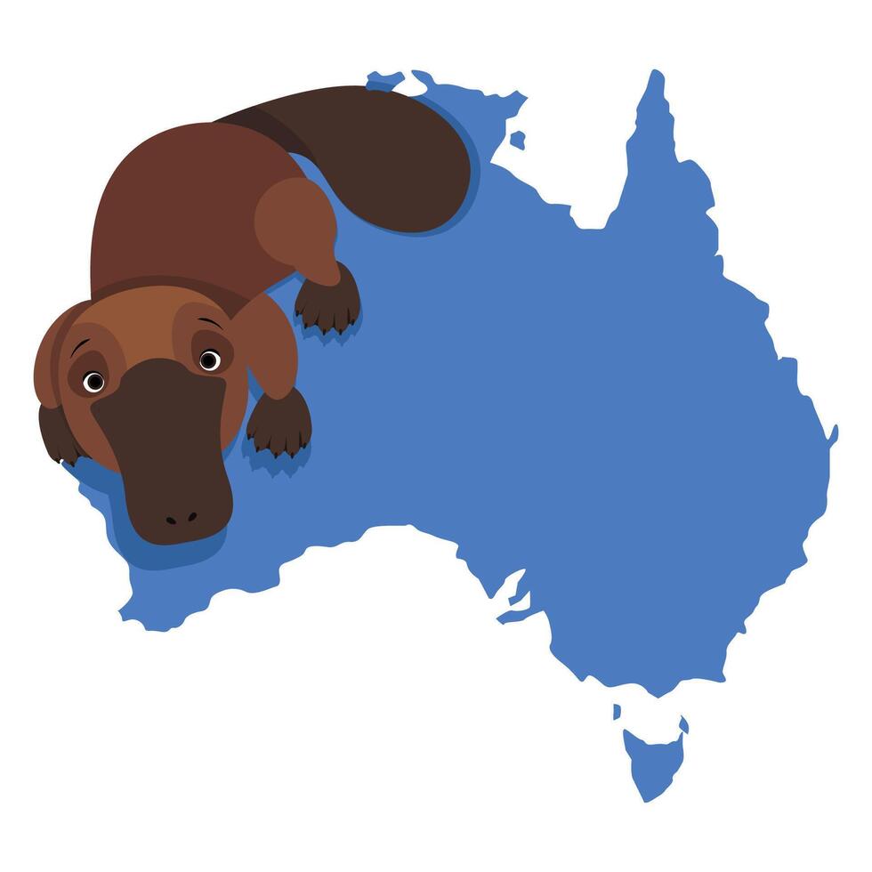 linda ornitorrinco con azul mapa de Australia vector