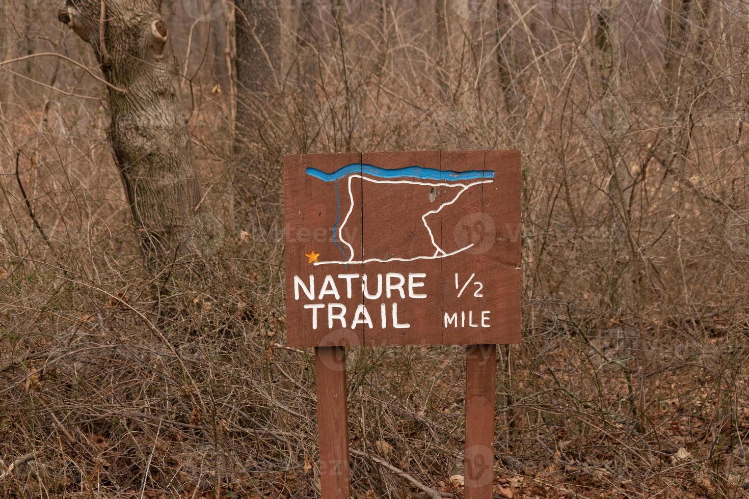 This sign in the woods marks the area of the trail. Helping to keep hikers from getting them lost and leading the way. The brown paint looks worn and chipping. The white letters standing out. photo