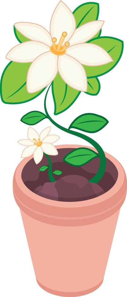 Isometric Lily Flower Pot vector