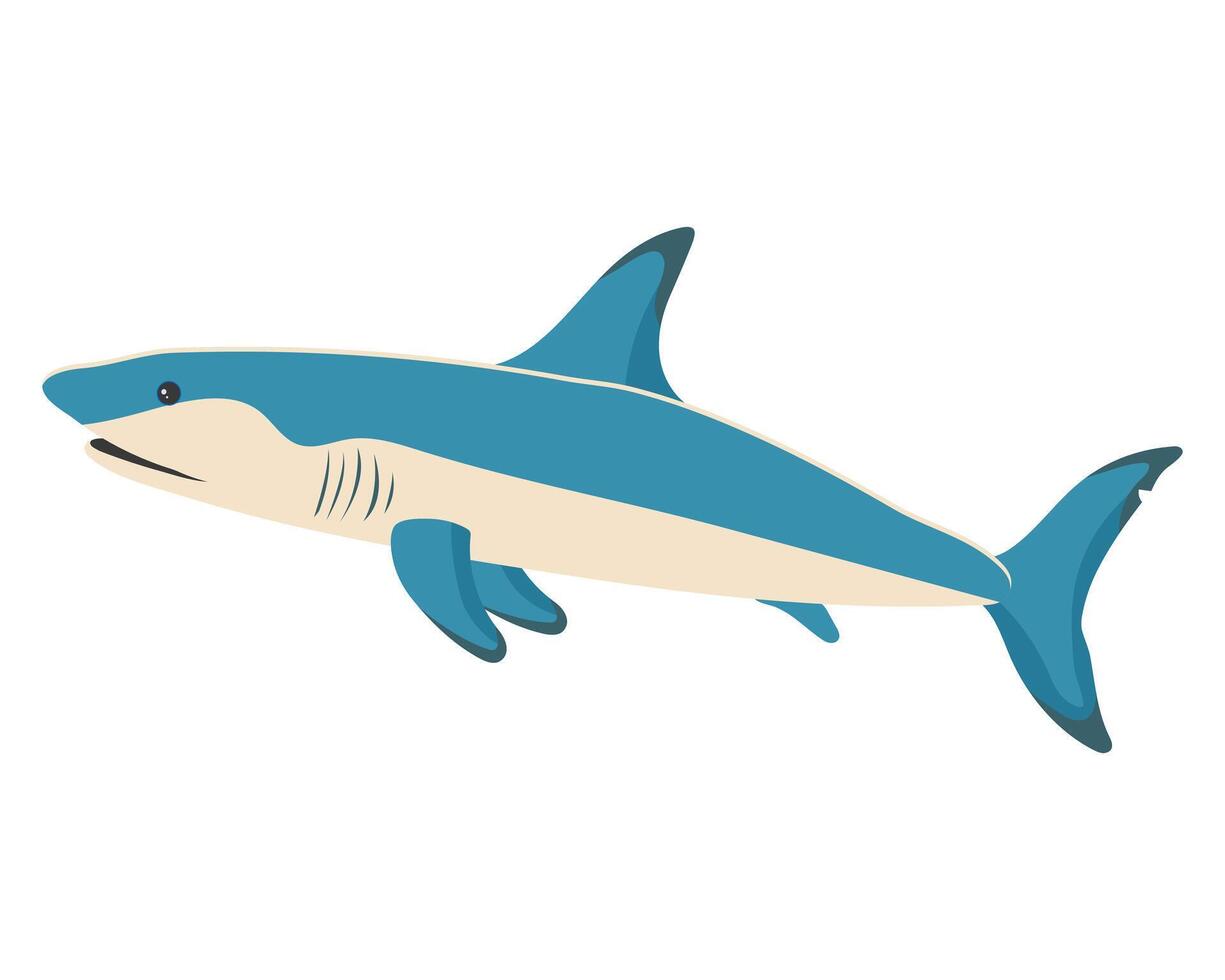 mar pez, Oceano tiburón. zoológico concepto. mar animales ilustración, vector