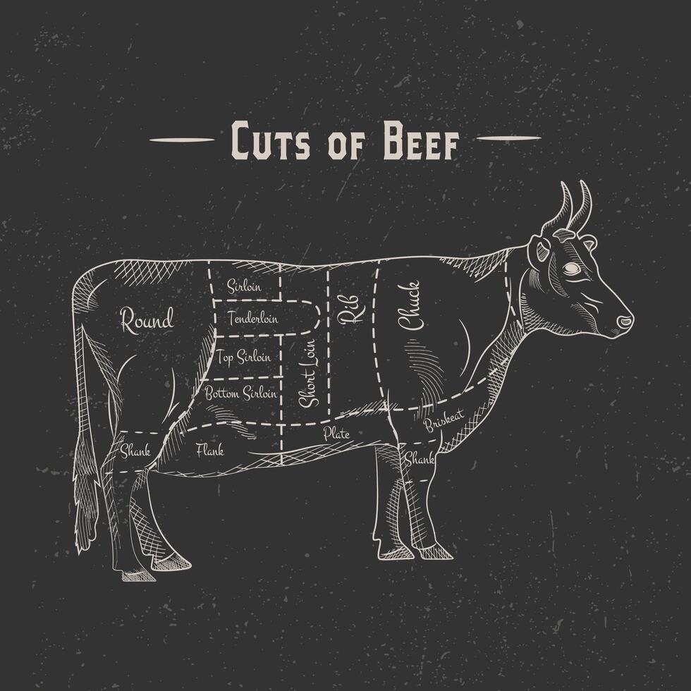 Poster beef cutting scheme lettering in vintage style drawing with chalk on chalkboard background vector