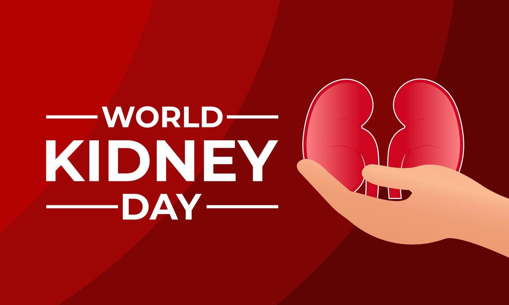 World Kidney Day. Human Kidney health concept. kidney shaped with two hand. Greeting card, poster, flyer and Banner, background design. vector