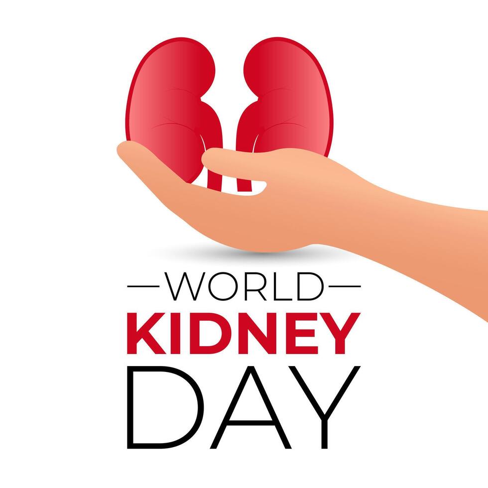 World Kidney Day. Human Kidney health concept. kidney shaped with two hand. Greeting card, poster, flyer and Banner, background design. vector