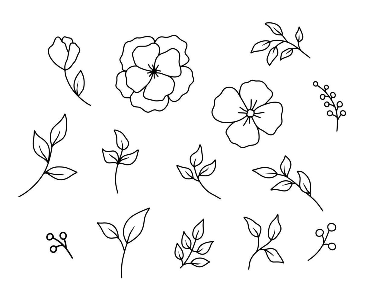 Hand drawn flower bud and leaves. Vector outline hand drawn sketch. Cute doodle isolated on white