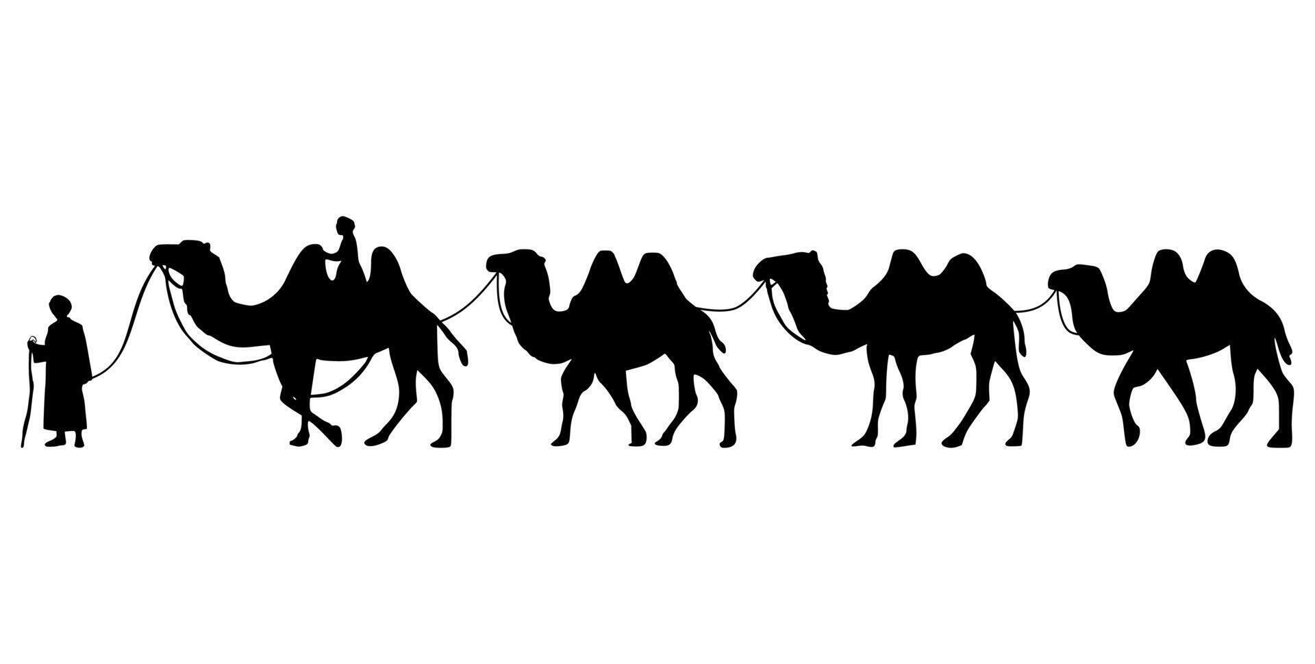 Camel Herder Silhouette illustration. Camel Caravan Silhouette vector
