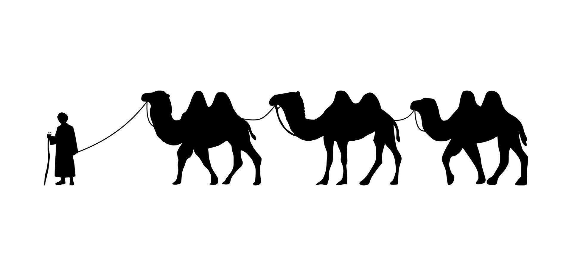 Camel Herder Silhouette illustration. Camel Caravan Silhouette vector