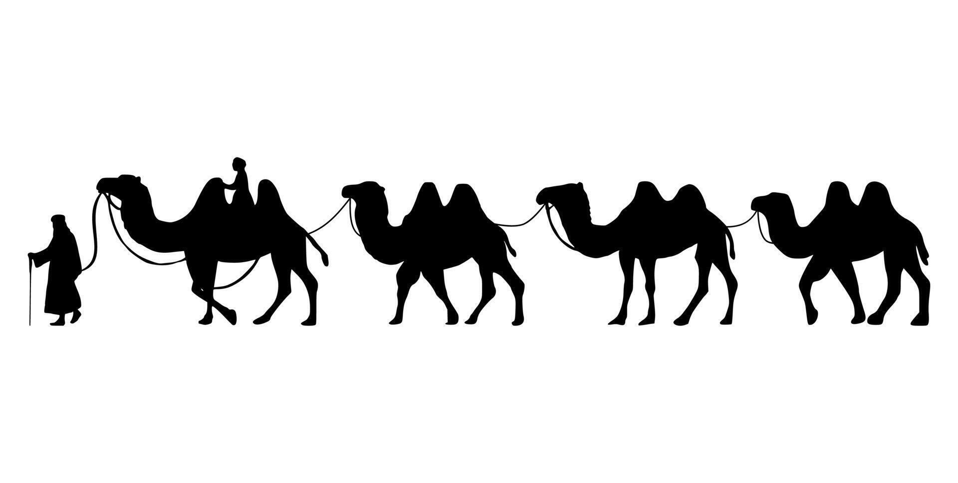 Camel Herder Silhouette illustration. Camel Caravan Silhouette vector