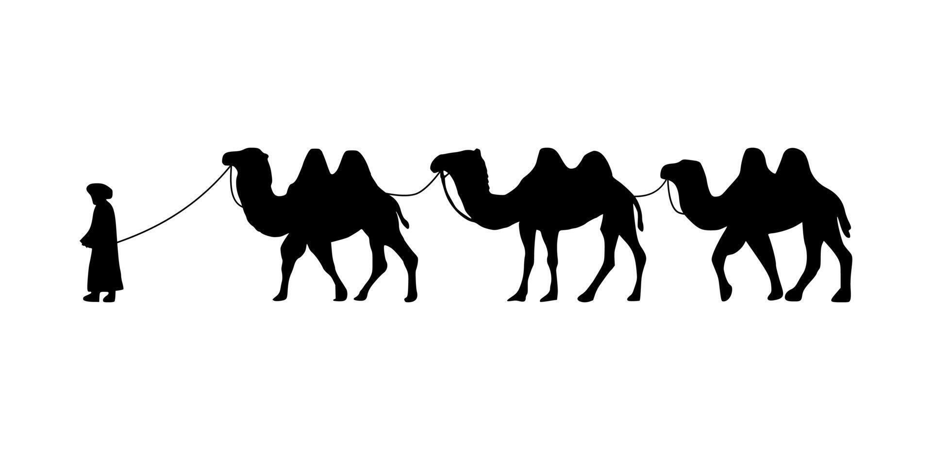 Camel Herder Silhouette illustration. Camel Caravan Silhouette vector