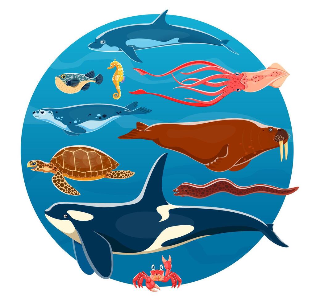 Cartoon sea animals, ocean fish, squid, dolphin vector