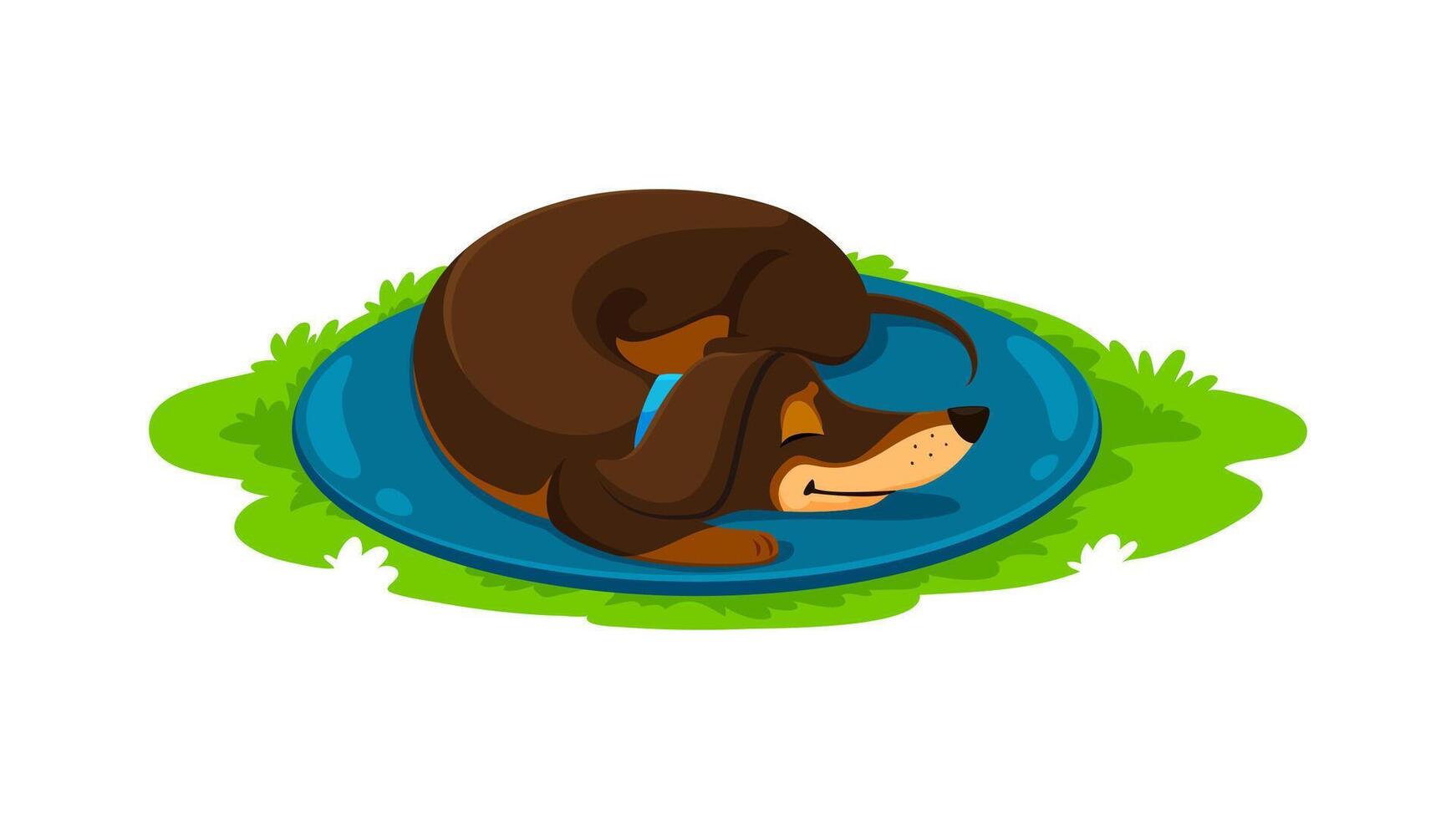Cartoon dachshund dog puppy slumbers in the grass vector