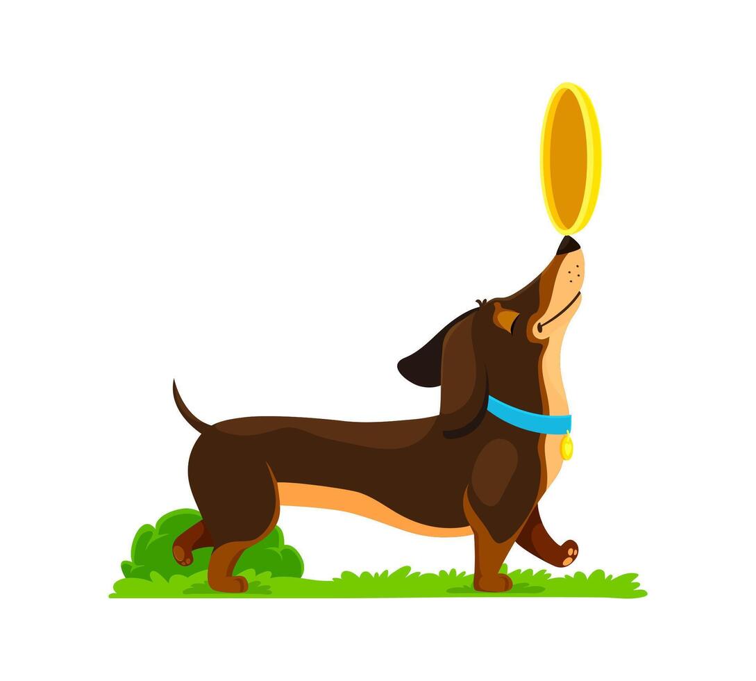 Cartoon dachshund dog plays with a flying plate vector