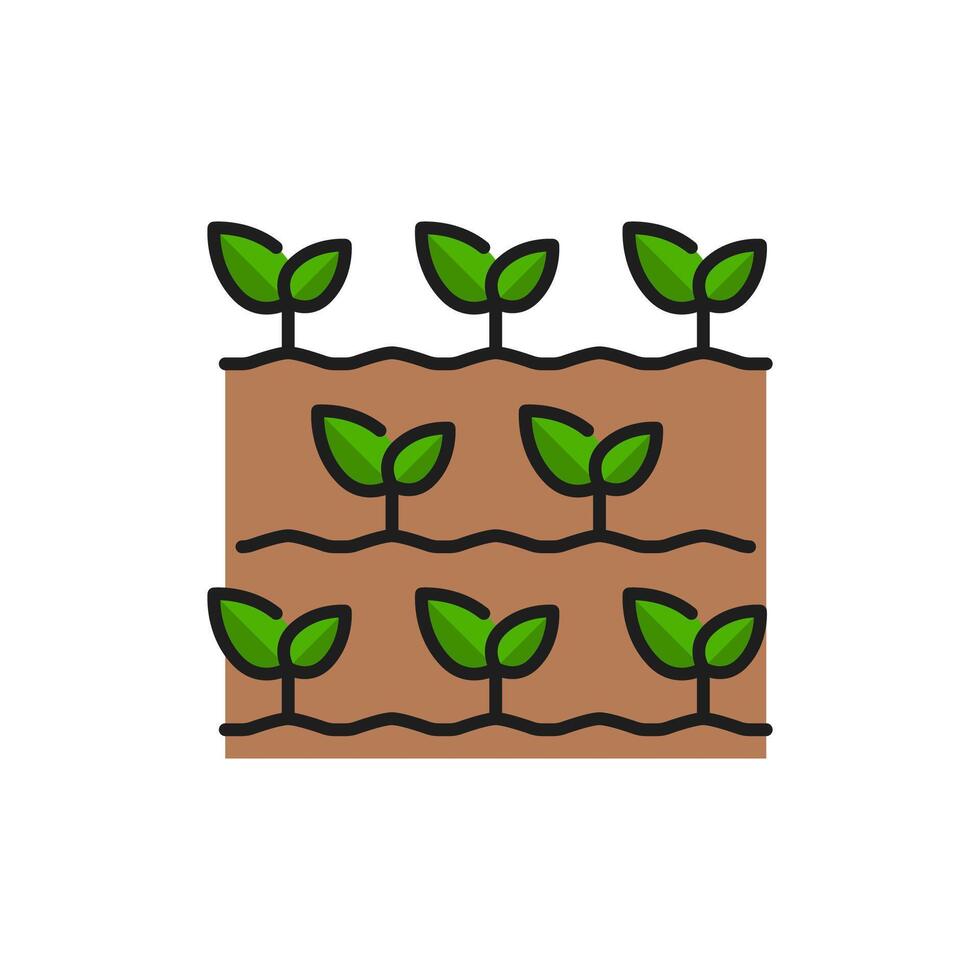 Green sprout leaves, agriculture plant icon vector