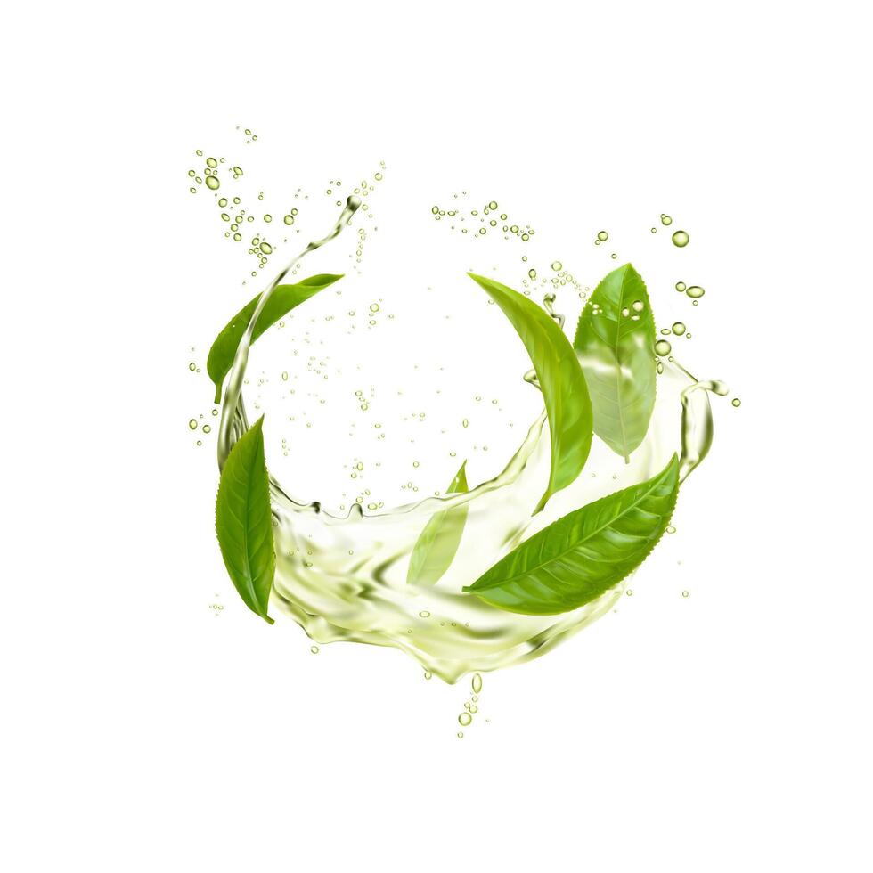 Green herbal tea leaves and wave, drink swirl vector