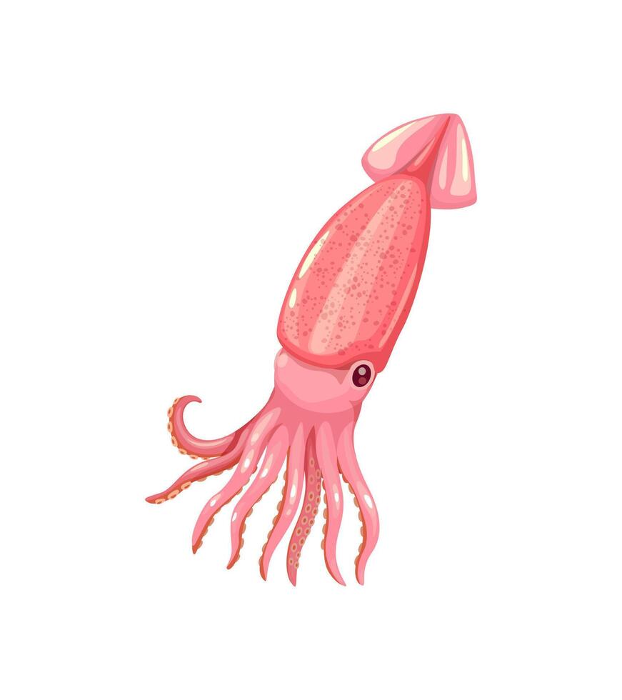 Cartoon squid, seafood cuisine, calamari sea food vector