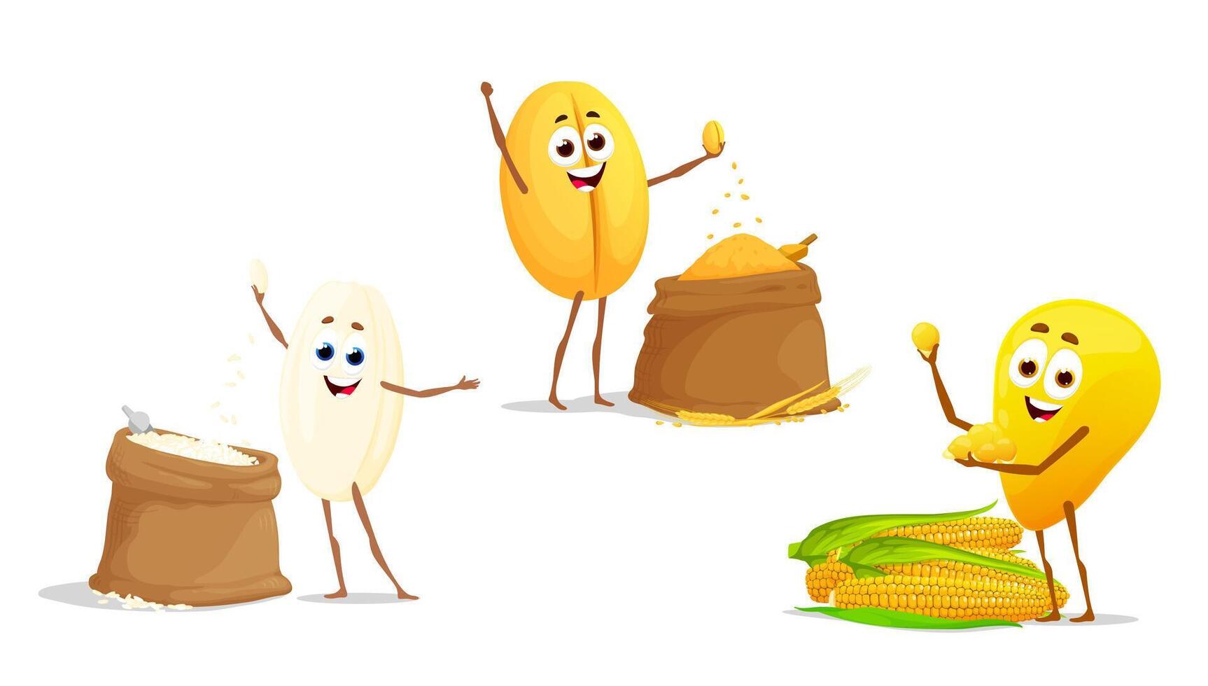 Rice, wheat and corn grain characters, cereal food vector