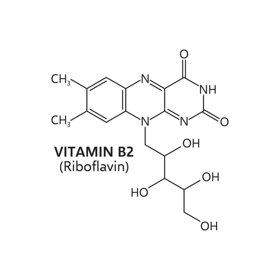 vitamina b2, riboflavina molecular fórmula estructura vector