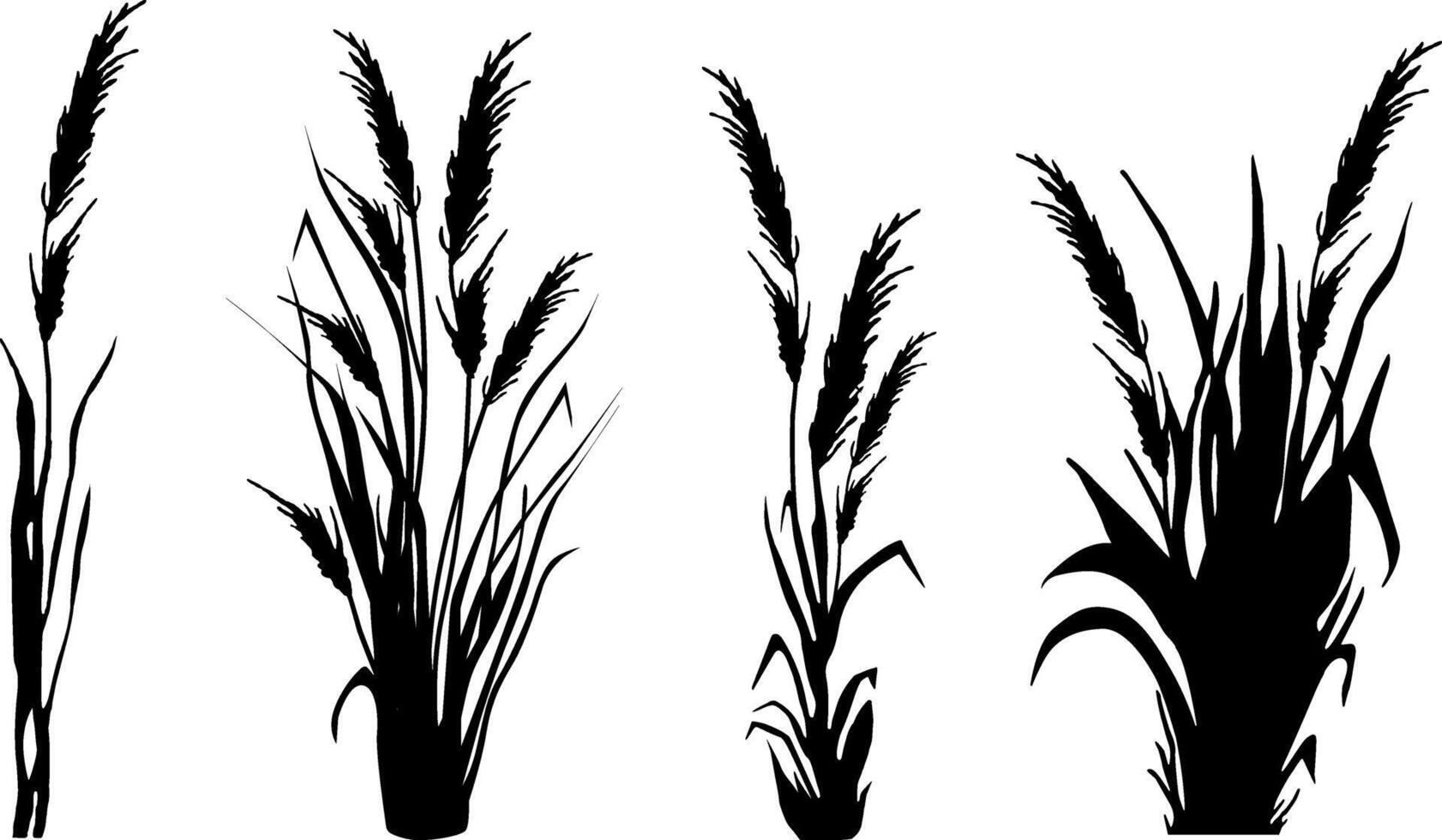 imagen de un monocromo caña, hierba o espadaña en un blanco fondo.aislado vector dibujo.negro césped gráfico silueta.