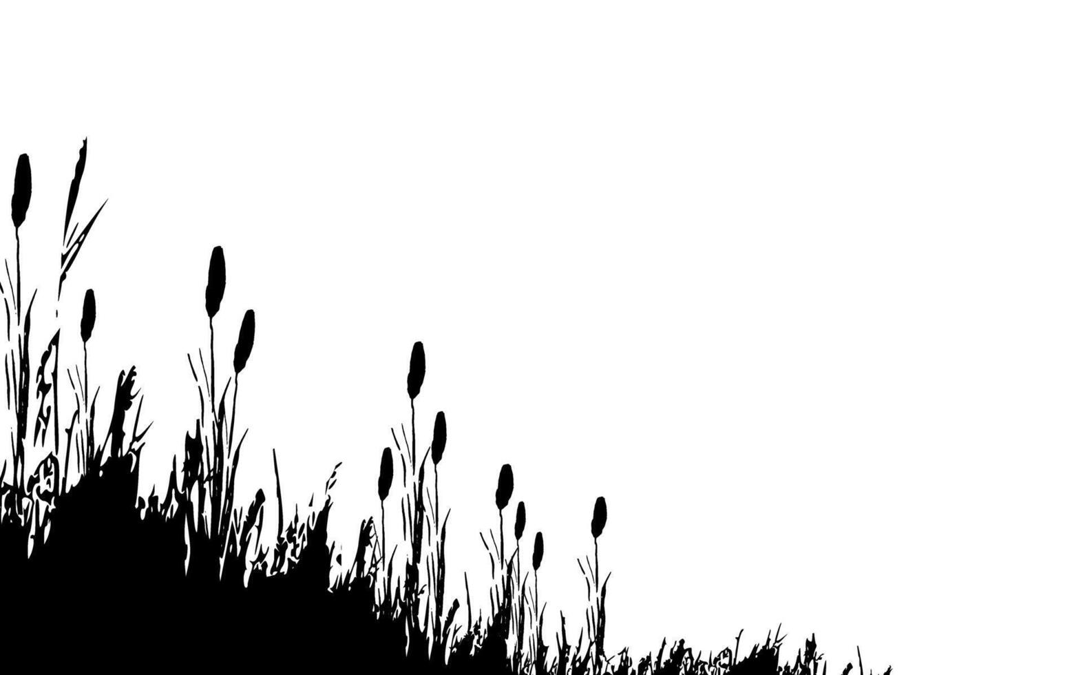 Image of a monochrome reed,grass or bulrush on a white background.Isolated vector drawing.Black grass graphic silhouette.