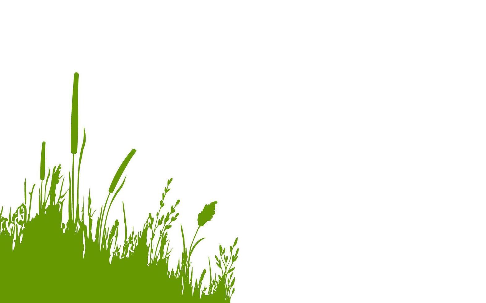 Image of a monochrome reed,grass or bulrush on a white background.Isolated vector drawing.Black grass graphic silhouette.