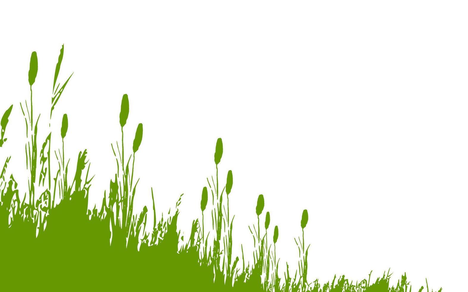 Image of a monochrome reed,grass or bulrush on a white background.Isolated vector drawing.Black grass graphic silhouette.