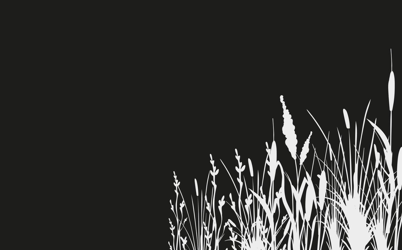 Image of a monochrome reed,grass or bulrush on a white background.Isolated vector drawing.Black grass graphic silhouette.