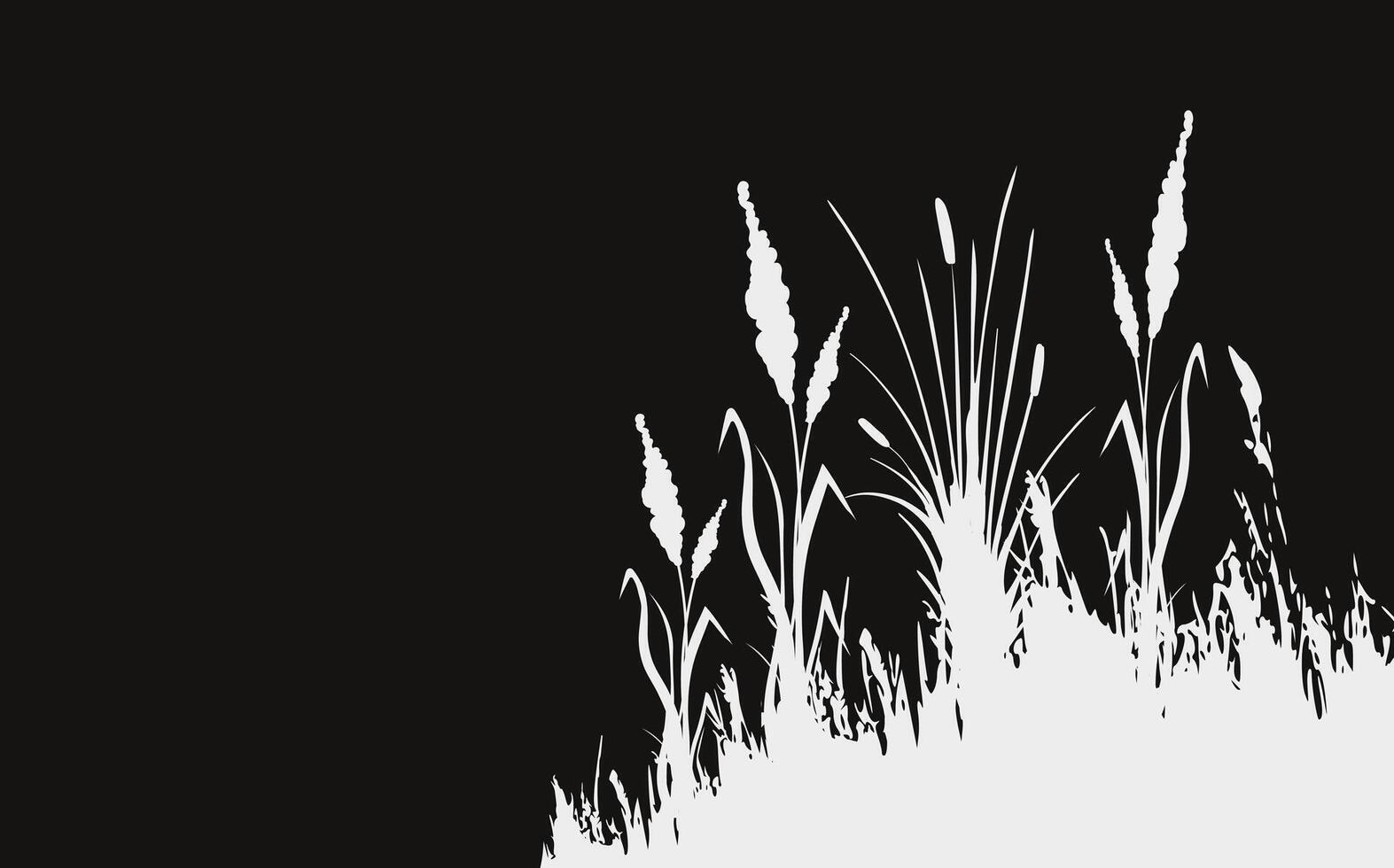 Image of a monochrome reed,grass or bulrush on a white background.Isolated vector drawing.Black grass graphic silhouette.
