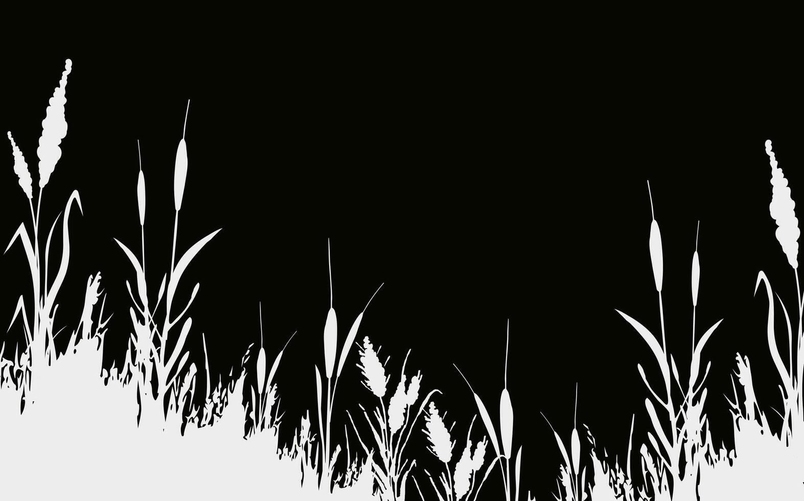 Image of a monochrome reed,grass or bulrush on a white background.Isolated vector drawing.Black grass graphic silhouette.