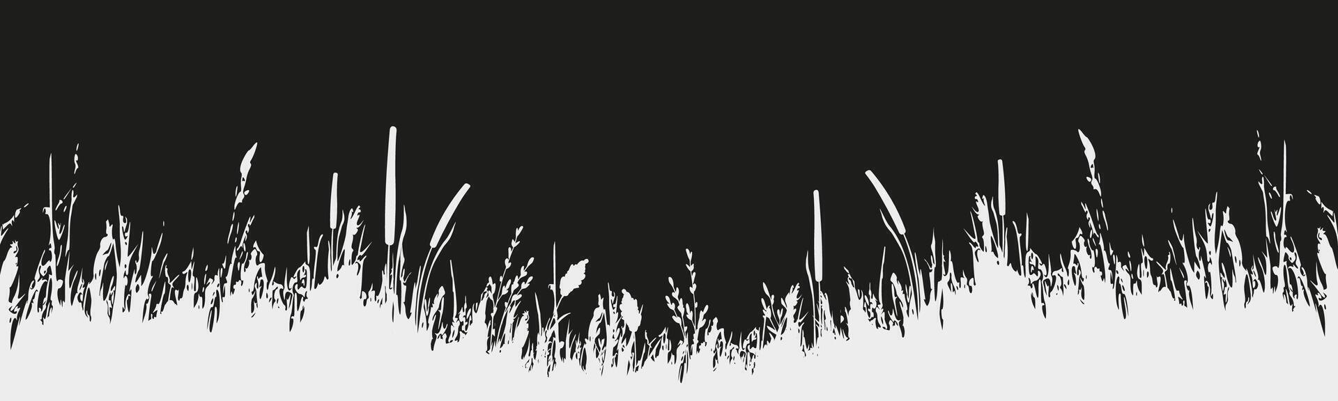 Image of a monochrome reed,grass or bulrush on a white background.Isolated vector drawing.Black grass graphic silhouette.