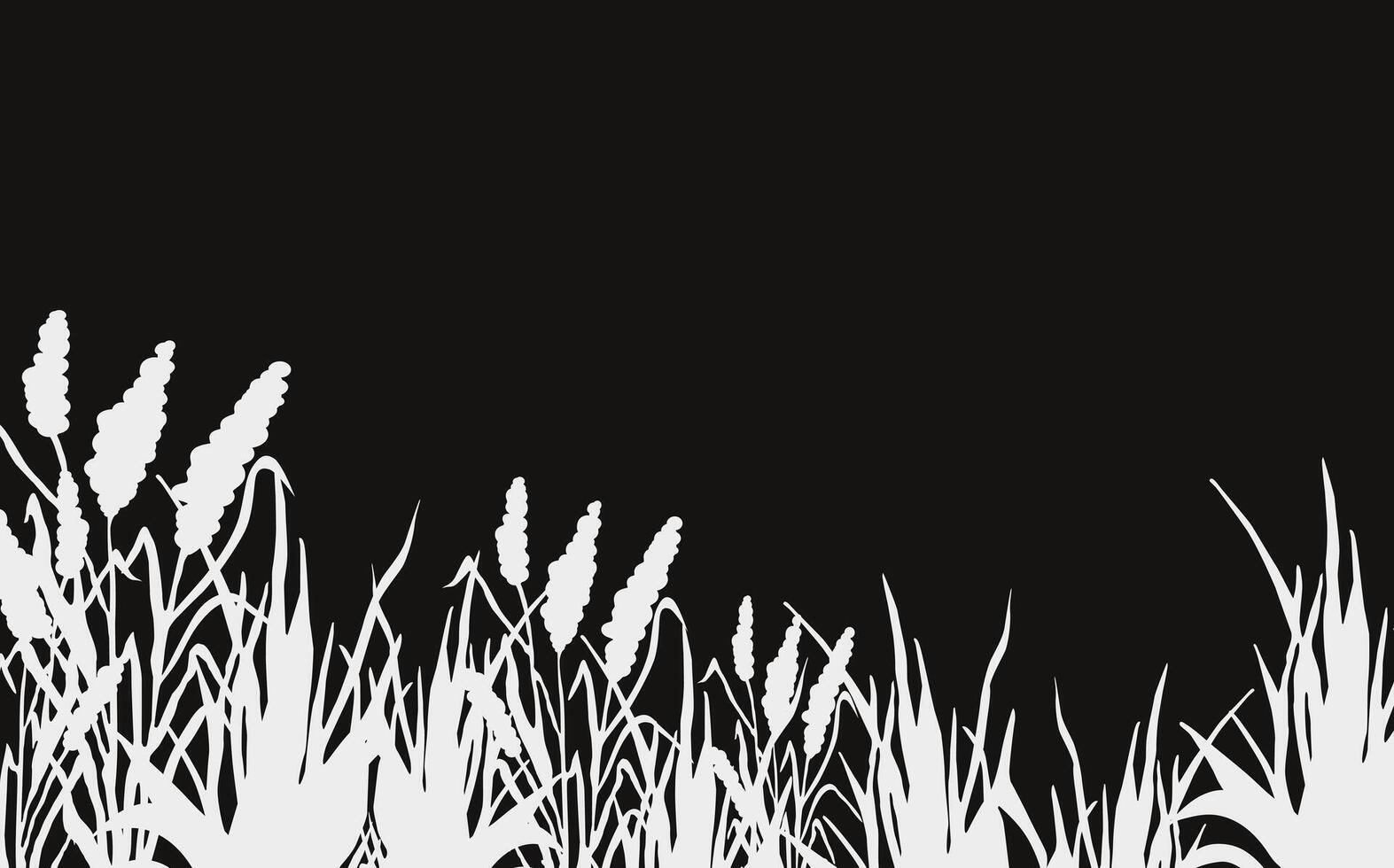 Image of a monochrome reed,grass or bulrush on a white background.Isolated vector drawing.Black grass graphic silhouette.