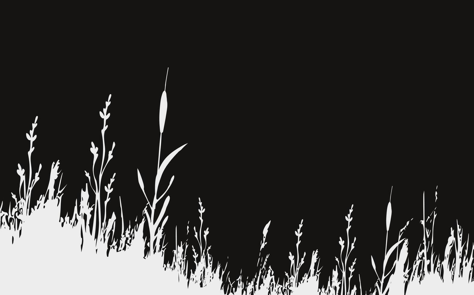 Image of a monochrome reed,grass or bulrush on a white background.Isolated vector drawing.Black grass graphic silhouette.