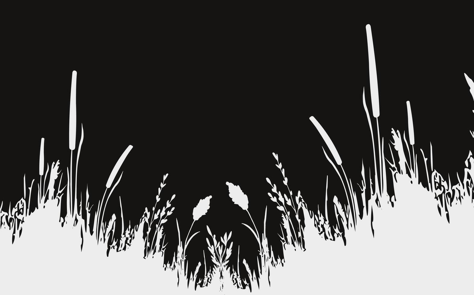 Image of a monochrome reed,grass or bulrush on a white background.Isolated vector drawing.Black grass graphic silhouette.