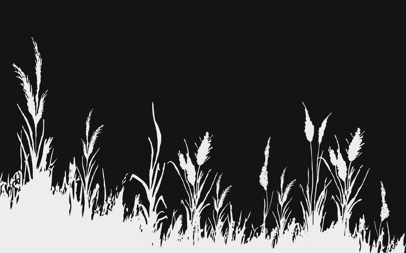 Image of a monochrome reed,grass or bulrush on a white background.Isolated vector drawing.Black grass graphic silhouette.