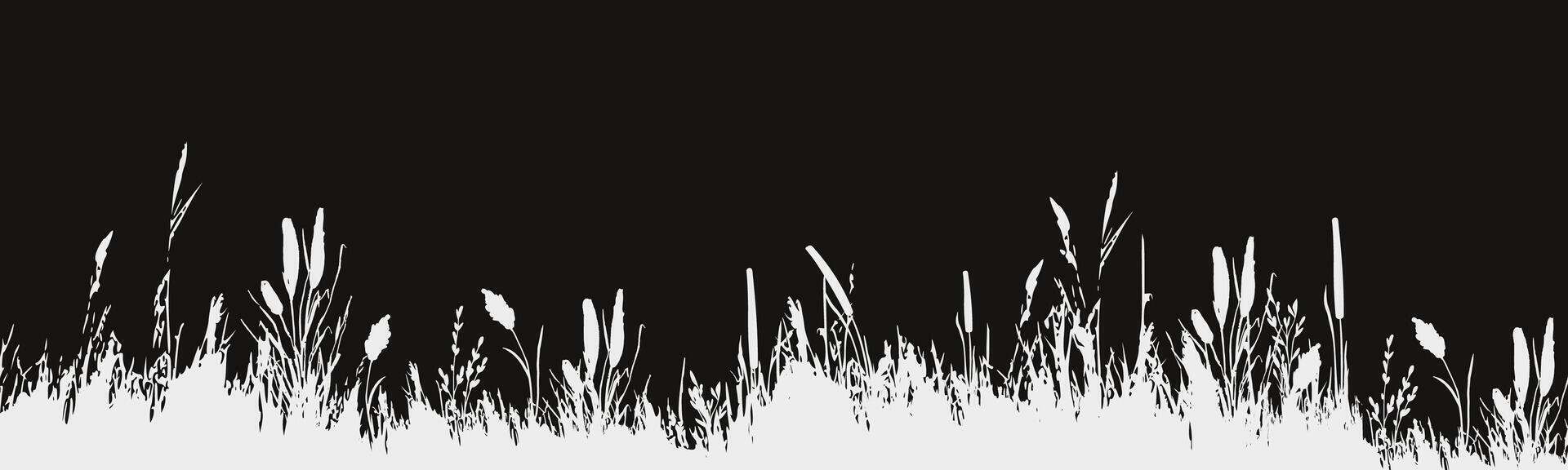 Image of a monochrome reed,grass or bulrush on a white background.Isolated vector drawing.Black grass graphic silhouette.