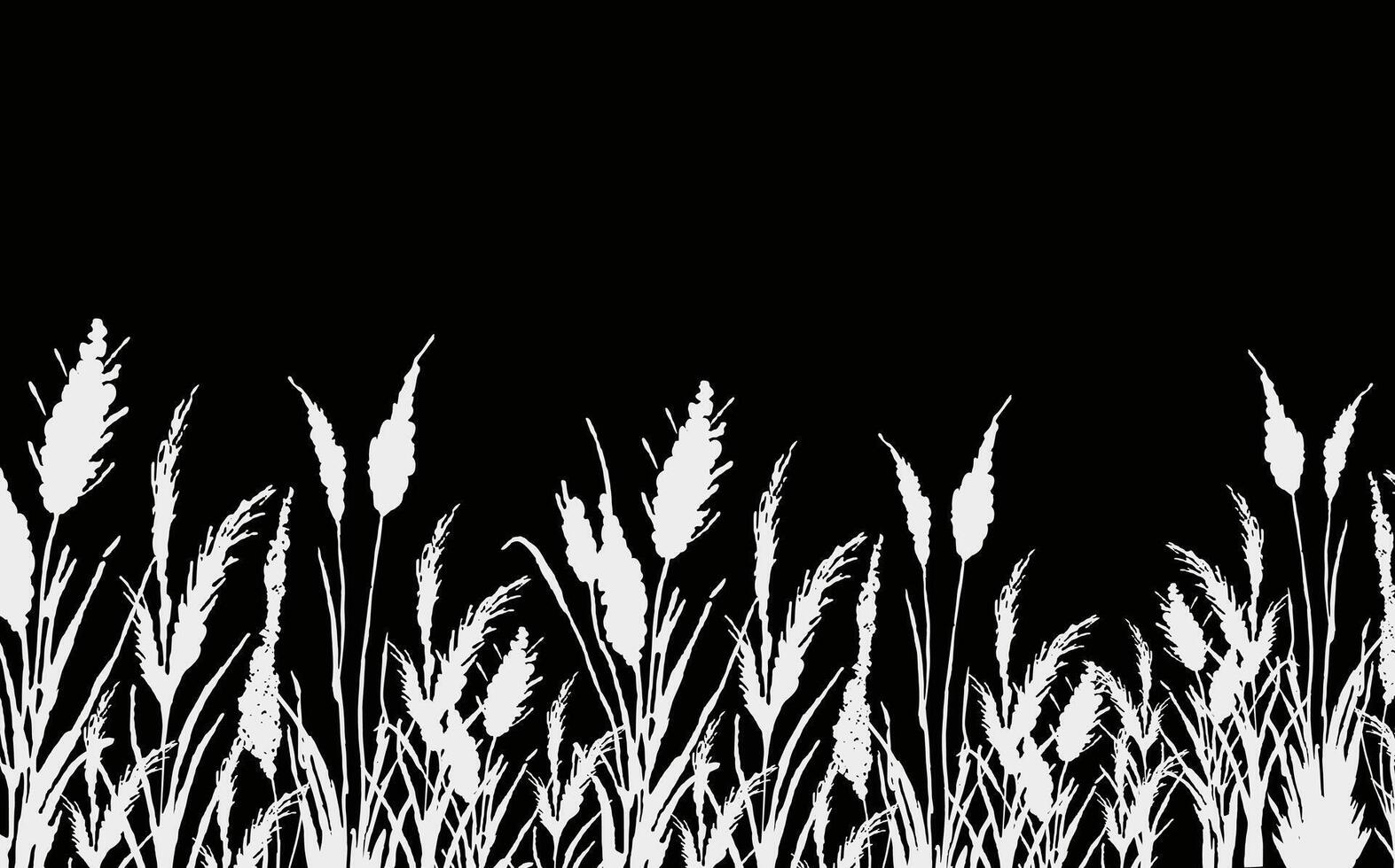 Image of a monochrome reed,grass or bulrush on a white background.Isolated vector drawing.Black grass graphic silhouette.