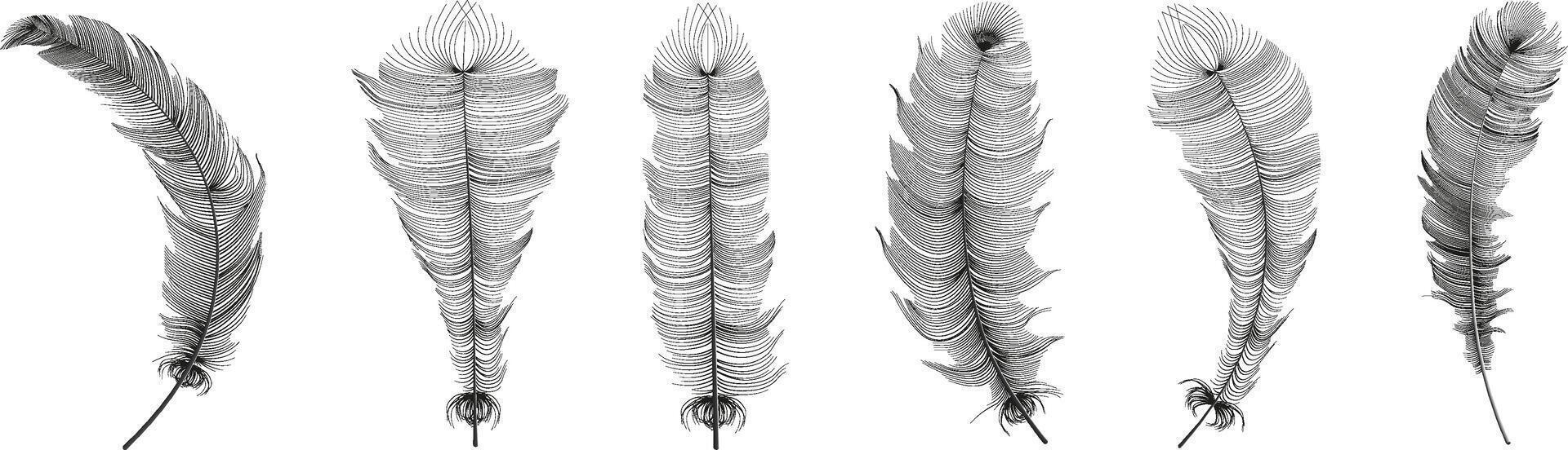 Set of realistic vector goose or swan feathers of various shapes. Ecological feather filler for pillows, blankets or jackets.Vector concept design,line art.