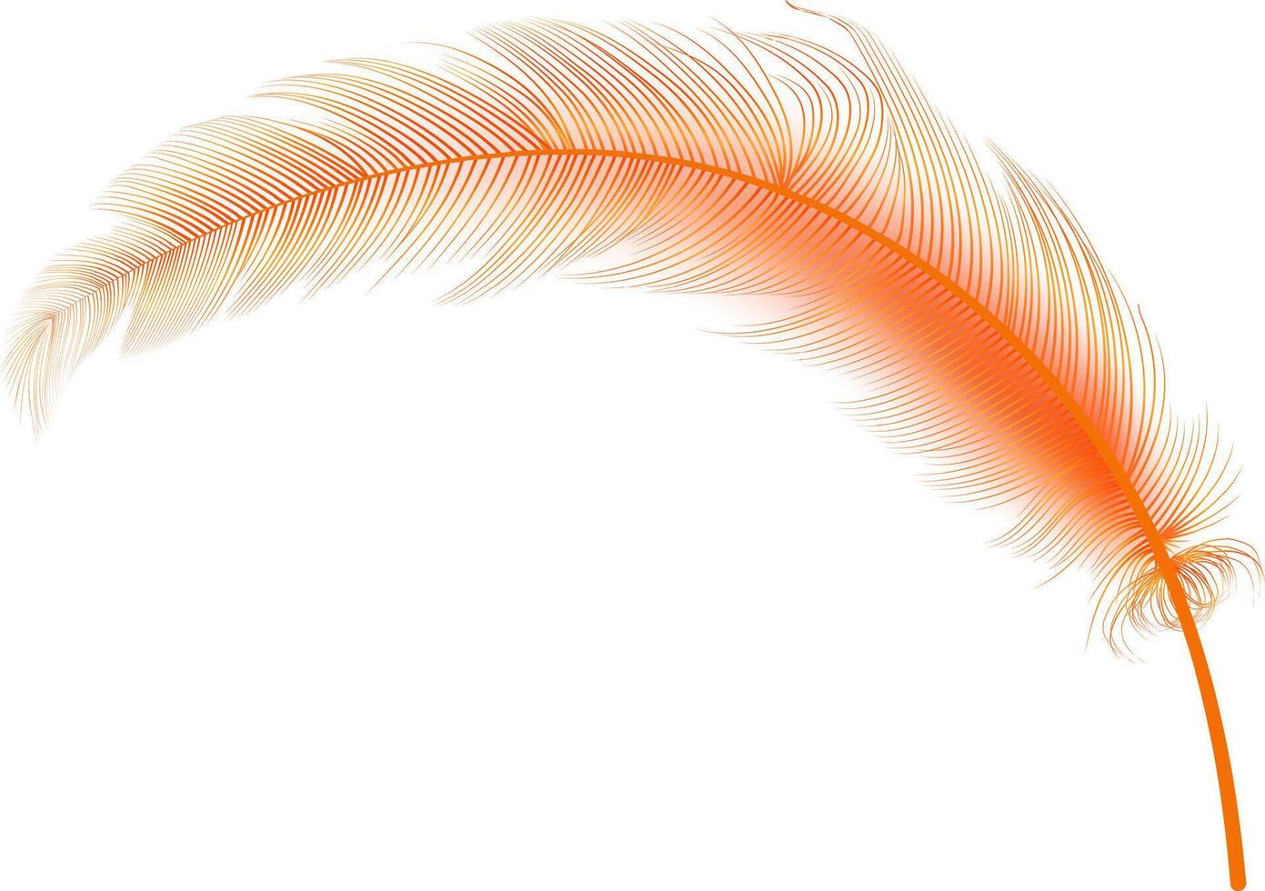 Set of realistic vector goose or swan feathers of various shapes. Ecological feather filler for pillows, blankets or jackets.Vector concept design,line art.