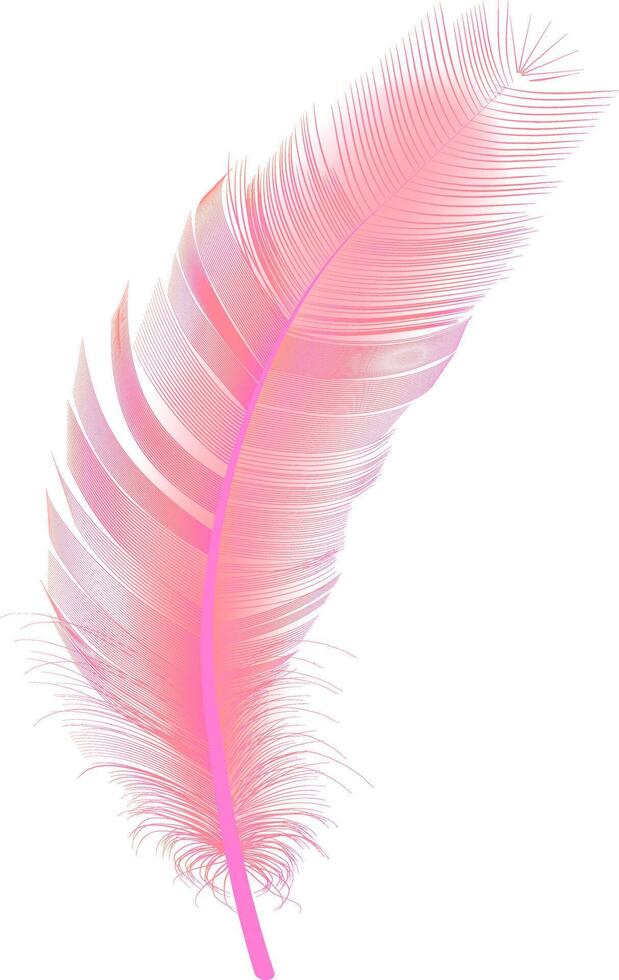 Set of realistic vector goose or swan feathers of various shapes. Ecological feather filler for pillows, blankets or jackets.Vector concept design,line art.