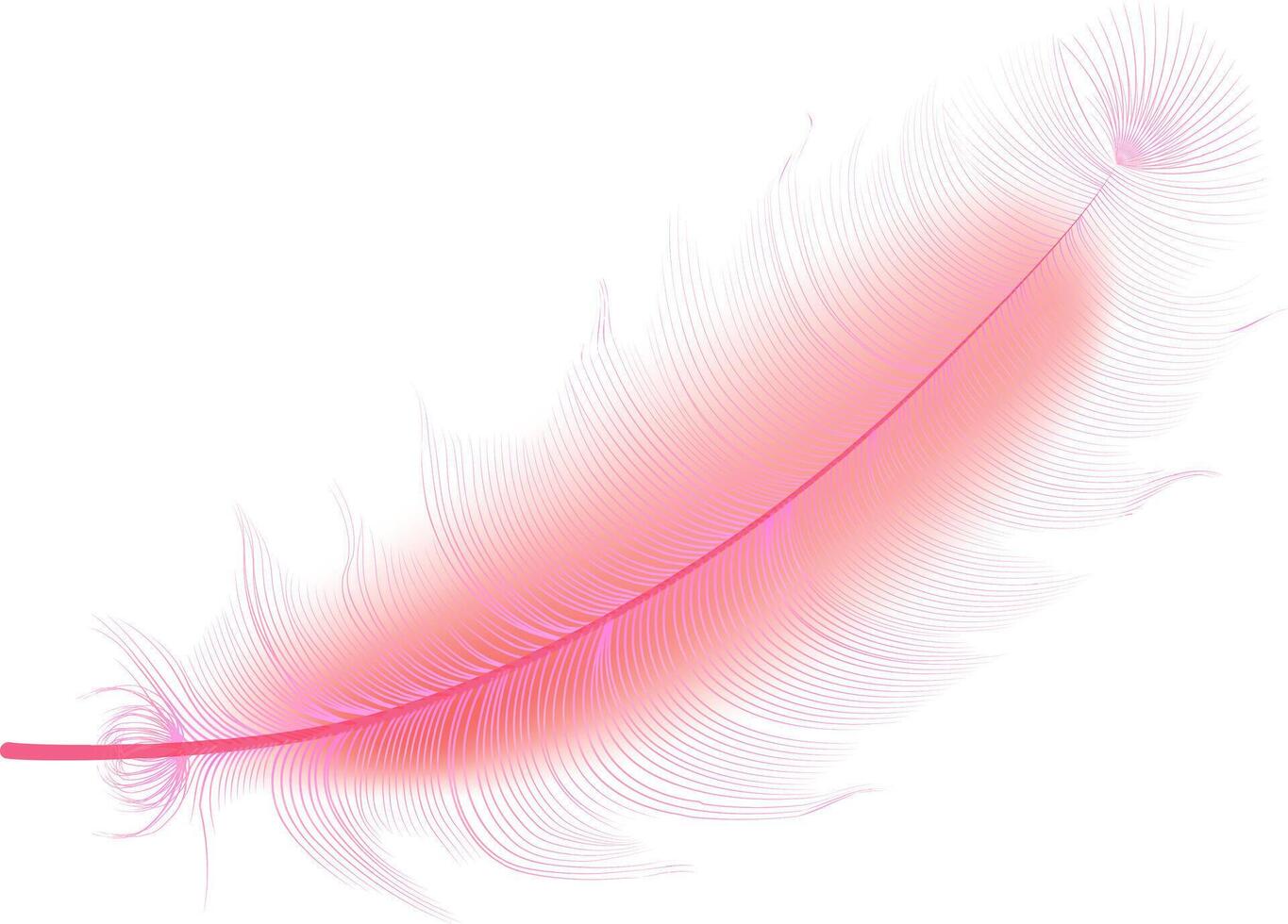 Set of realistic vector goose or swan feathers of various shapes. Ecological feather filler for pillows, blankets or jackets.Vector concept design,line art.