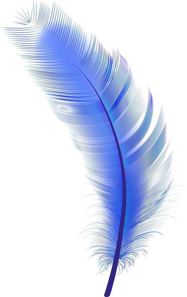 Set of realistic vector goose or swan feathers of various shapes. Ecological feather filler for pillows, blankets or jackets.Vector concept design,line art.