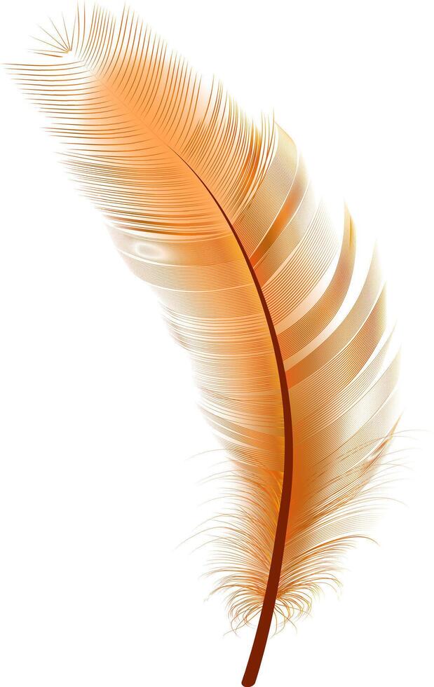 Set of realistic vector goose or swan feathers of various shapes. Ecological feather filler for pillows, blankets or jackets.Vector concept design,line art.