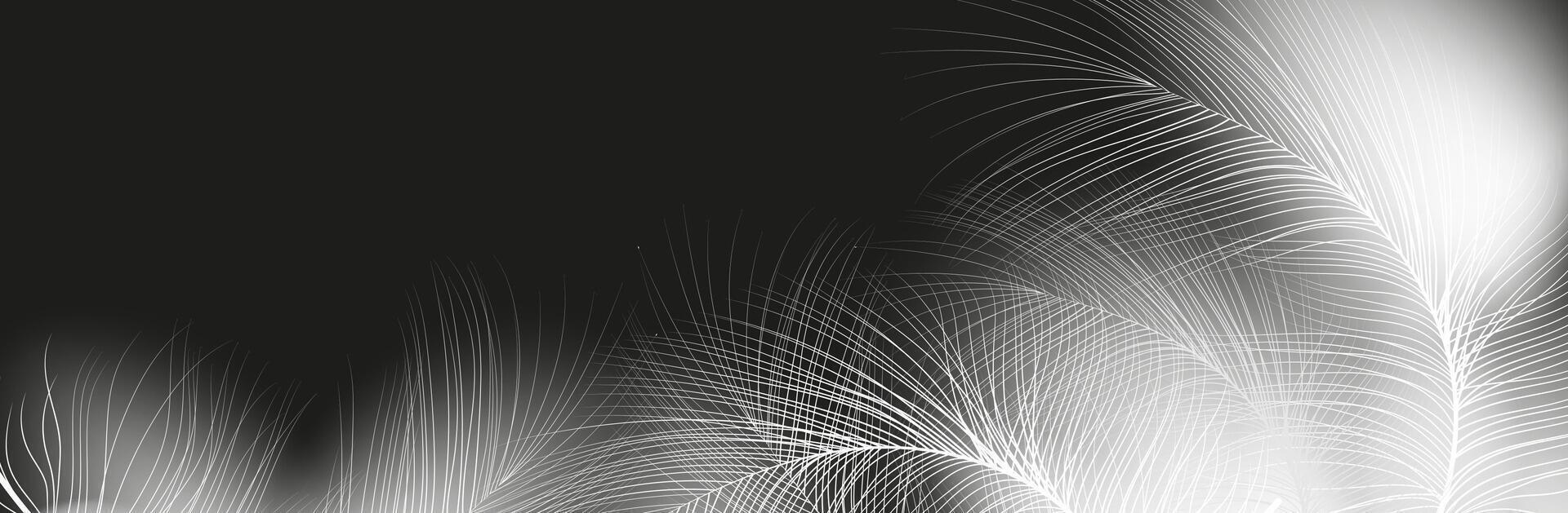 Set of realistic vector goose or swan feathers of various shapes. Ecological feather filler for pillows, blankets or jackets.Vector concept design,line art.