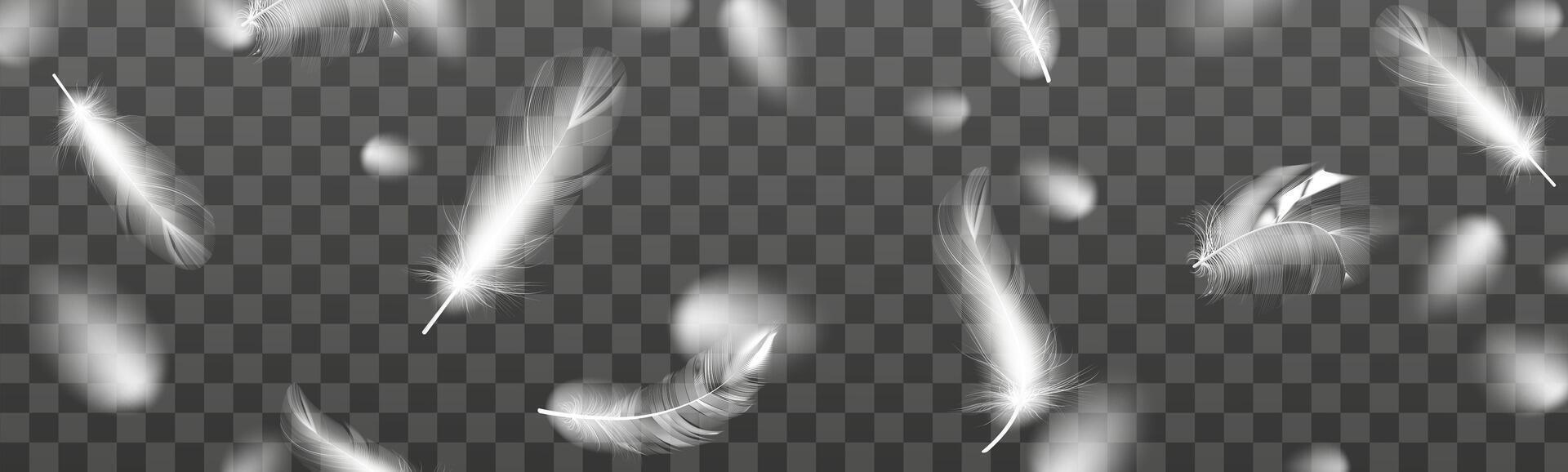 Set of realistic vector goose or swan feathers of various shapes. Ecological feather filler for pillows, blankets or jackets.Vector concept design,line art.