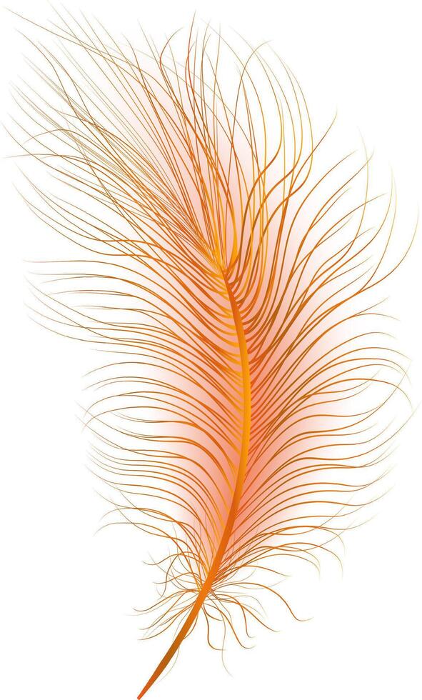 Set of realistic vector goose or swan feathers of various shapes. Ecological feather filler for pillows, blankets or jackets.Vector concept design,line art.