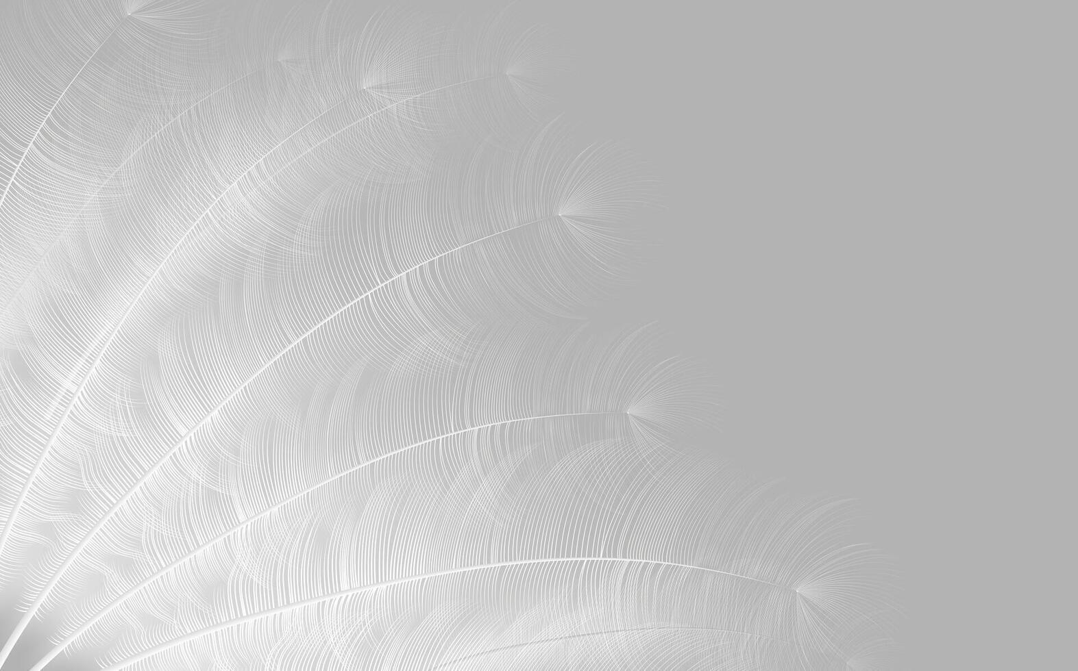 Set of realistic vector goose or swan feathers of various shapes. Ecological feather filler for pillows, blankets or jackets.Vector concept design,line art.