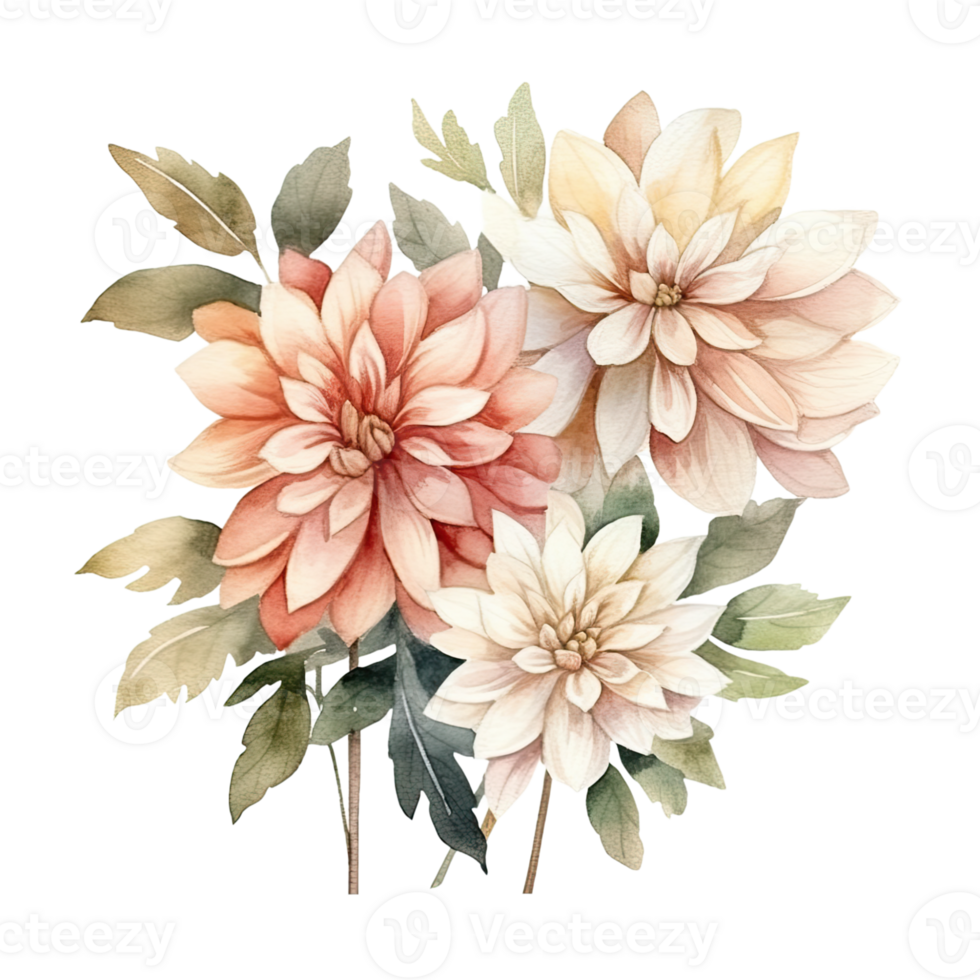 AI generated Dahlia Dahlias Arrangement Watercolor Illustration Beautiful Isolated Flowers Floral Decoration Clip Art Isolated Background for Wedding Baby Shower Invitations Greeting Card png