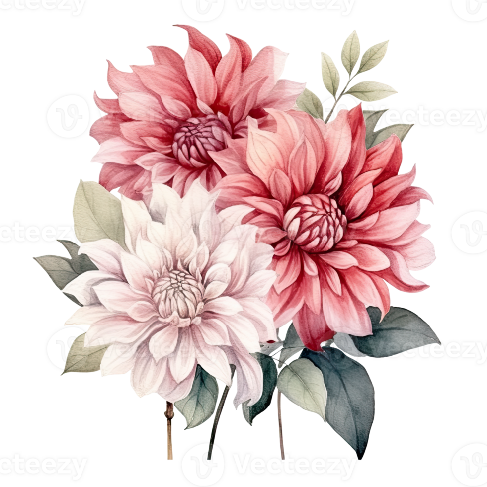 AI generated Dahlia Dahlias Arrangement Watercolor Illustration Beautiful Isolated Flowers Floral Decoration Clip Art Isolated Background for Wedding Baby Shower Invitations Greeting Card png