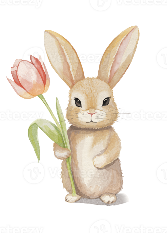 Watercolor bunny with tulip. Illustration with hand drawn rabbit, easter bunny on white background. png