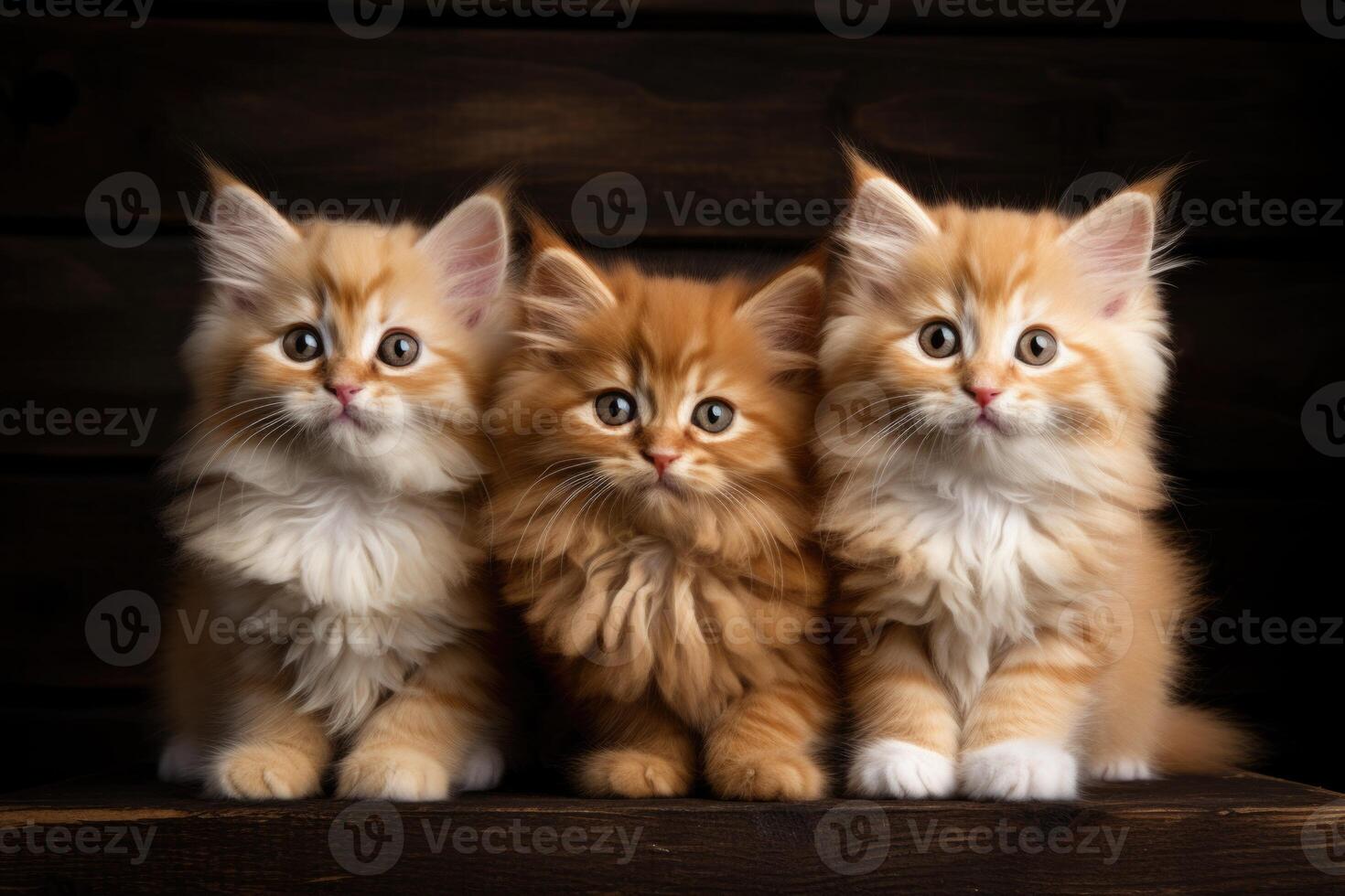 AI generated Three friendly red-haired kittens on a black background. The concept of animal nutrition photo